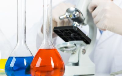 Suspendisse imperdiet mollis nisi sit amet pellentesque